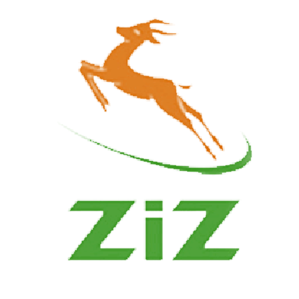 Logo Ziz